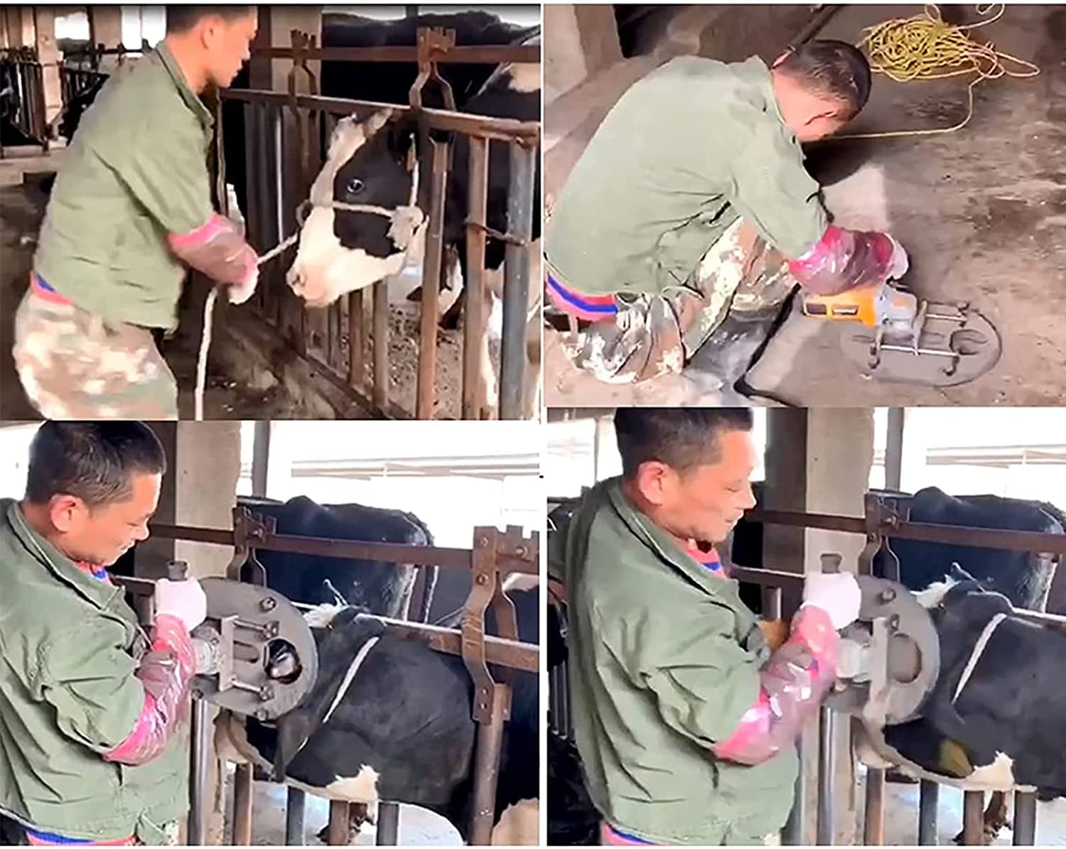 Electric Horn Cutter Machine - Painless Dehorner for Cattle & Sheep | Fast & Safe Livestock Farming Equipment | Perfect for Dairy Farms, Ranches & Veterinary Clinics