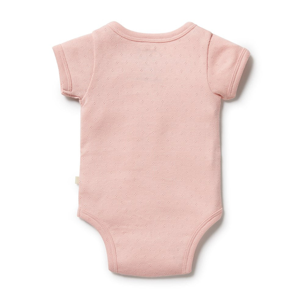 Organic Pointelle Kimono Bodysuit - Soft Cotton Baby Romper for Newborns & Infants | Perfect for Photoshoots, Playdates & Special Occasions