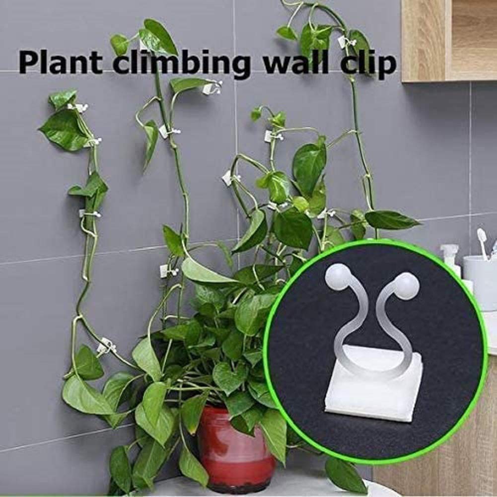 100 Pcs Invisible Wall Clips for Climbing Plants - Self-Adhesive Vine Hooks, Plant Support Clips for Indoor/Outdoor Wall Gardens, Vertical Greenery & Home Decor