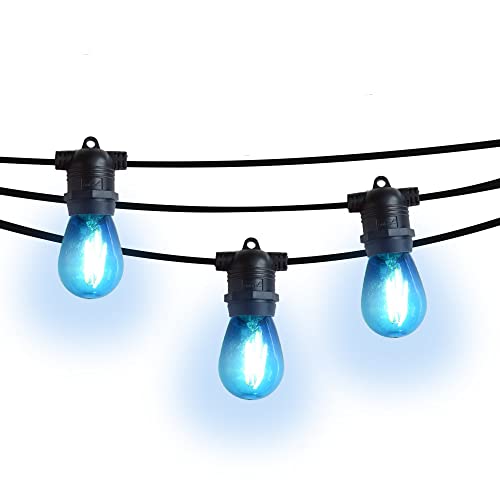 Blue Shatterproof LED Bulb (2W) - Black Cord