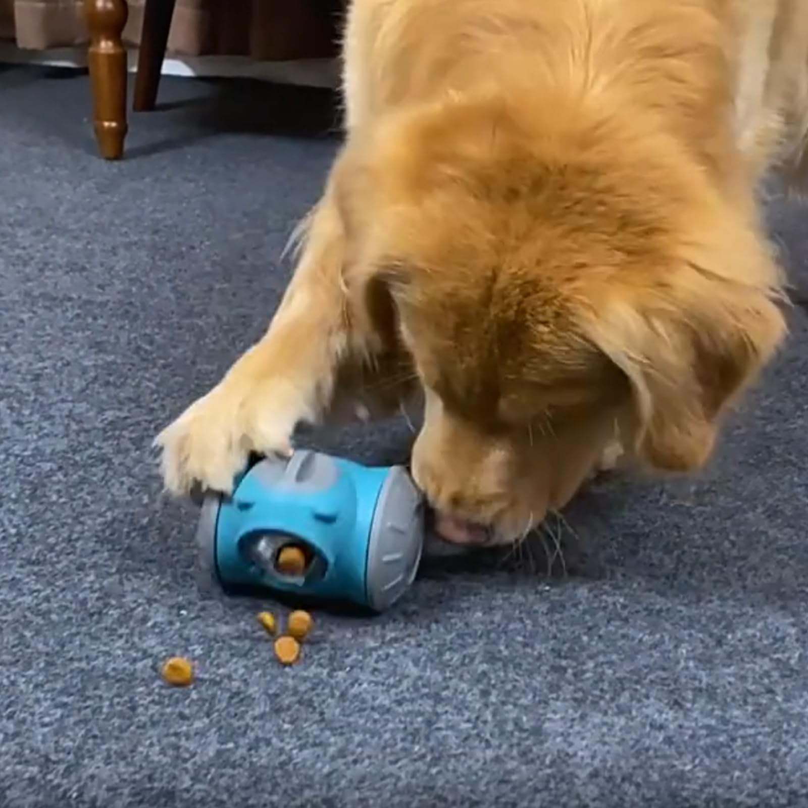 Interactive Treat Dispensing Puzzle Toy for Small & Medium Dogs - Slow Feeder Dog Toy, Mental Stimulation & Digestion Aid - Robot-Shaped Chase Toy (Bear2-Blue) | Fun Training Reward & Boredom Buster for Indoor Play