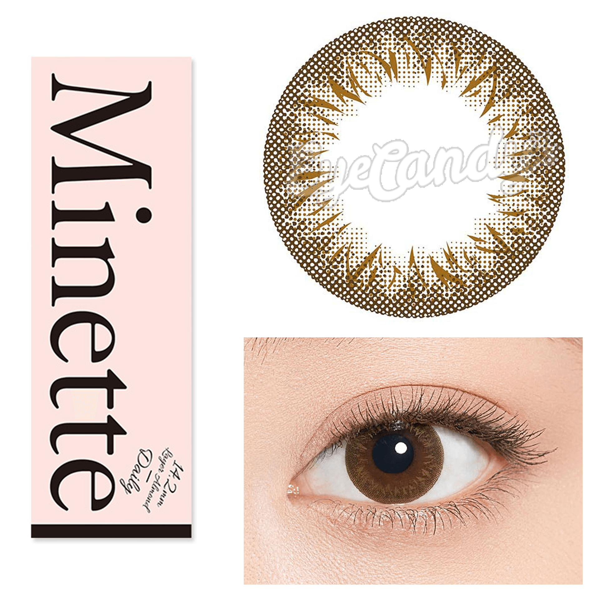 Minette 1 Day Layer Marron Brown Colored Contact Lenses (10 Pack) - Perfect for Halloween, Cosplay & Daily Fashion Enhancement