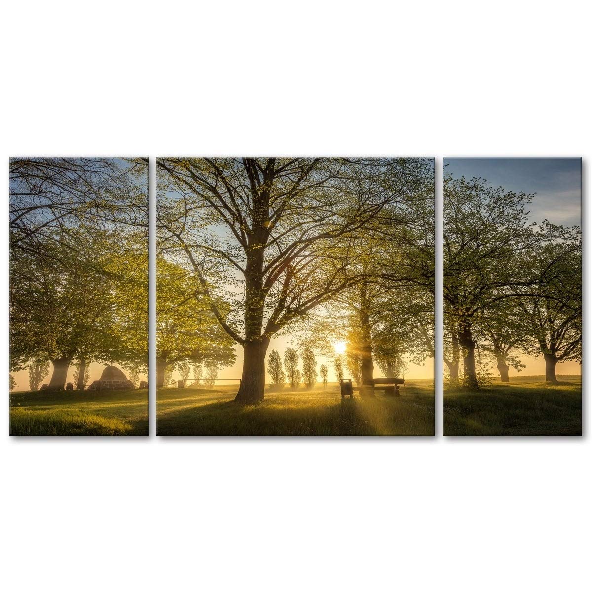 Dreamers Park 3-Piece Triptych Wall Art Set - Modern Canvas Paintings for Living Room, Bedroom & Office Decor