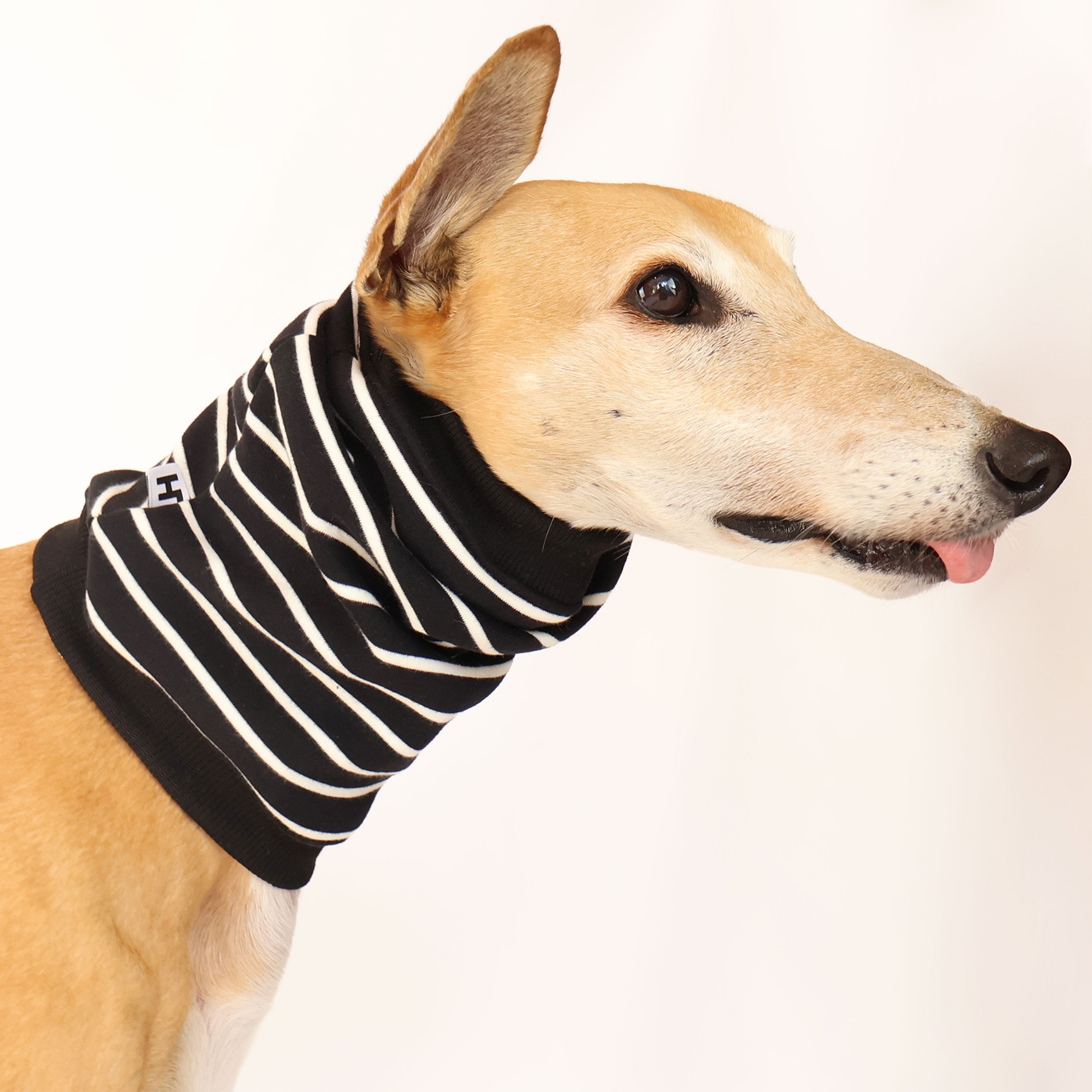 Black Greyhound Fleecey Snood - Warm Dog Neck Warmer for Winter - Perfect for Cold Weather Walks & Outdoor Adventures