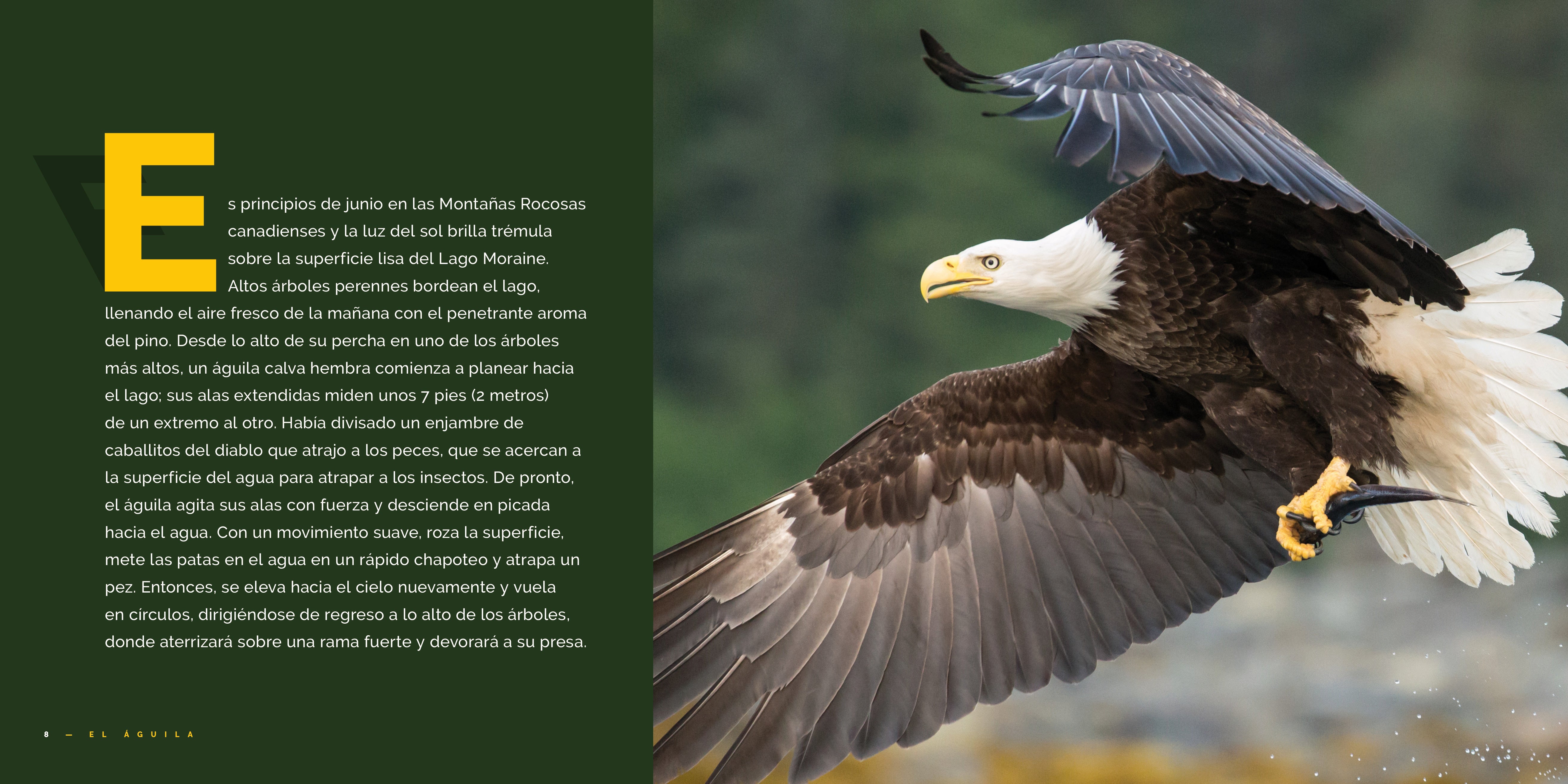 El Guila 9781640267398 - Wildlife & Nature Book for Bird Lovers - Perfect for Birdwatching & Nature Enthusiasts
