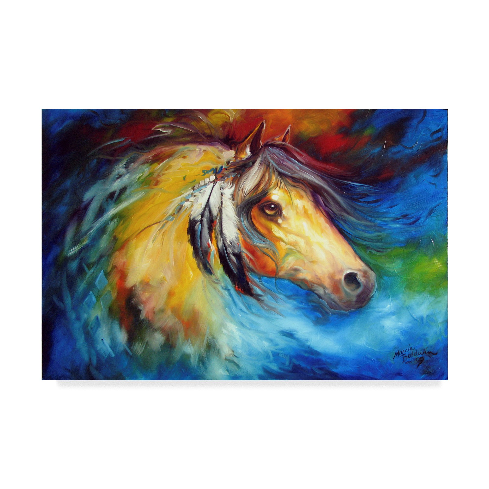 Trademark Fine Art Marcia Baldwin Multicolor Canvas Painting - Perfect for Living Room, Bedroom & Office Wall Decor