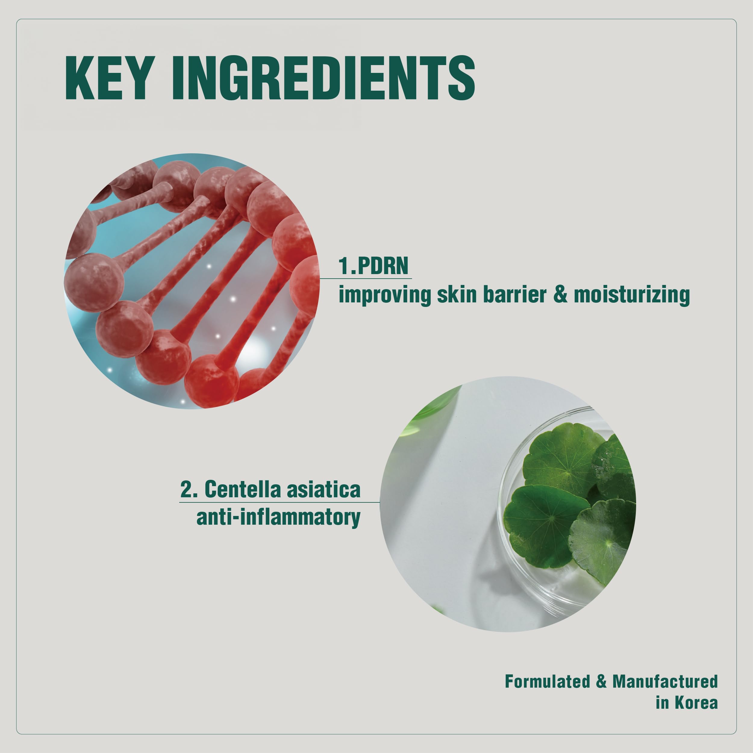 Phytocin Cream - Korean Moisturizing Face Cream for Acne Prone Skin with PDRN & Centella Asiatica | Barrier Repair & Anti-Wrinkle Treatment | Salmon Collagen Cream 30mL | Daily Hydration for Sensitive & Dry Skin