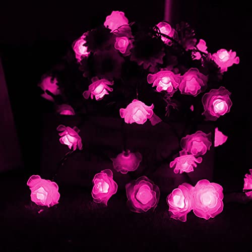 Rose-Pink