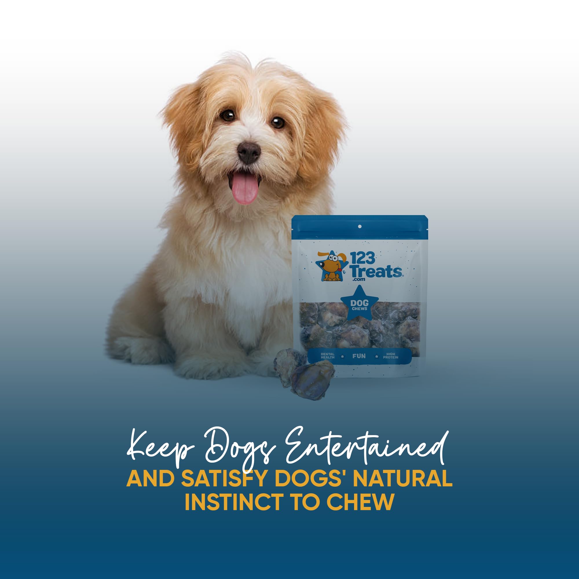 Premium Grass-Fed Beef Knee Caps for Dogs – 30 Count Natural Protein-Packed Knee Bone Treats | Easily Digestible Dog Chews for Dental Health & Joint Support | Perfect for Training, Rewards, and Long-Lasting Chewing