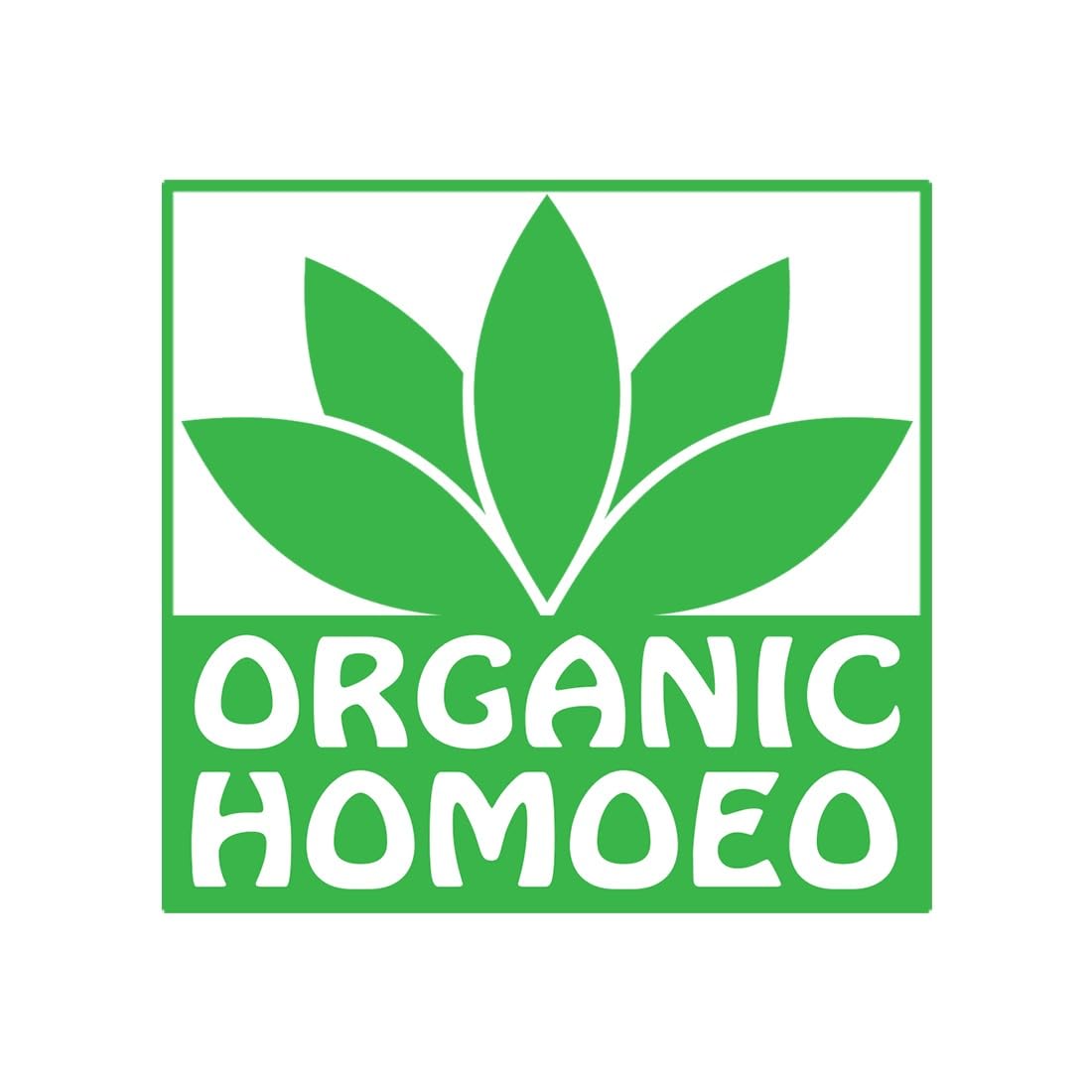 Organic Homoeo SBL Arnica Montana Hair Oil (100ml) - Pack of 2 | Natural Hair Growth Treatment for Thinning Hair & Scalp Care | Perfect for Daily Hair Massage & Revitalization