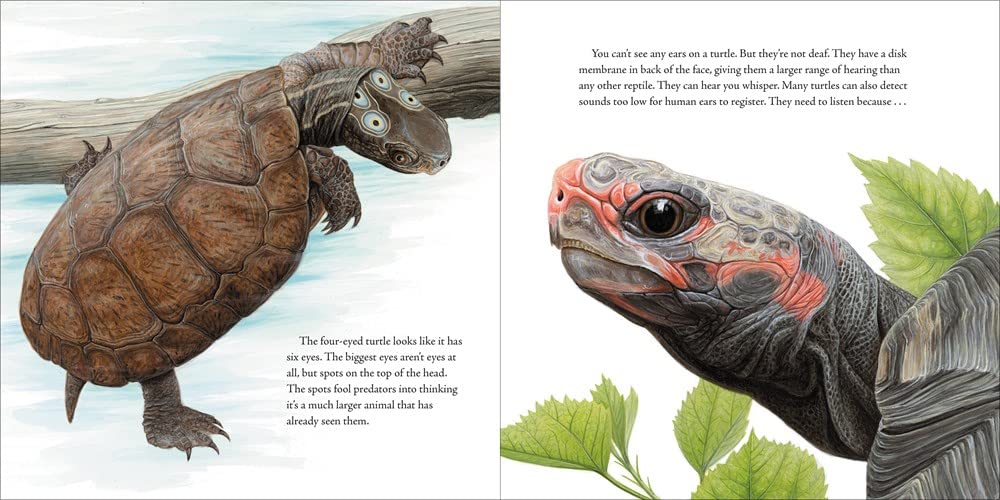 The Book of Turtles: Complete Guide to Turtle Species, Care & Facts - Perfect for Reptile Lovers, Pet Owners & Nature Enthusiasts