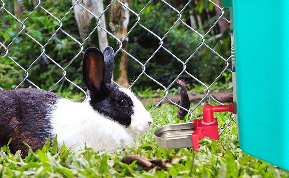 Metal Rabbit & Chicken Water Cup - DIY Small Animal Drinking Bottle for Hamsters, Guinea Pigs, Rabbits (Black, 6 Pack) - Perfect for Cage, Hutch & Outdoor Pet Enclosures