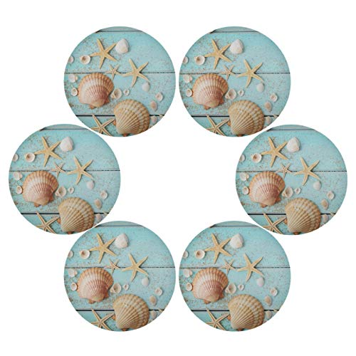 Seashell