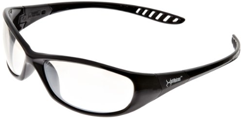 Black Frame With Indoor/Outdoor Lens