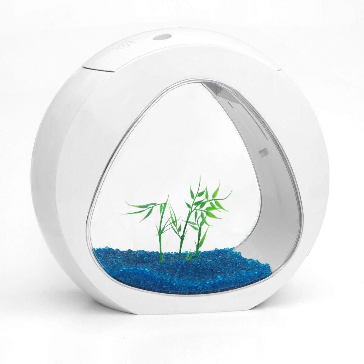 Nano Curve Acrylic Fish Tank 6L (0.6 Gallon) - White or Black - Small Desktop Aquarium for Betta Fish, Shrimp, or Plants - Perfect for Office, Home Decor, or Gift
