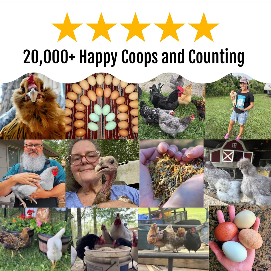 Natural Herb Supplement for Backyard Chickens - Organic Poultry Feed Botanical Mix, Plant-Based Chicken Treats for Daily Wellness, Feather Quality & Egg Production | USA Made (5 LB) | Perfect for Coop Snacks, Chicken Health Boost & Organic Egg Laying Support
