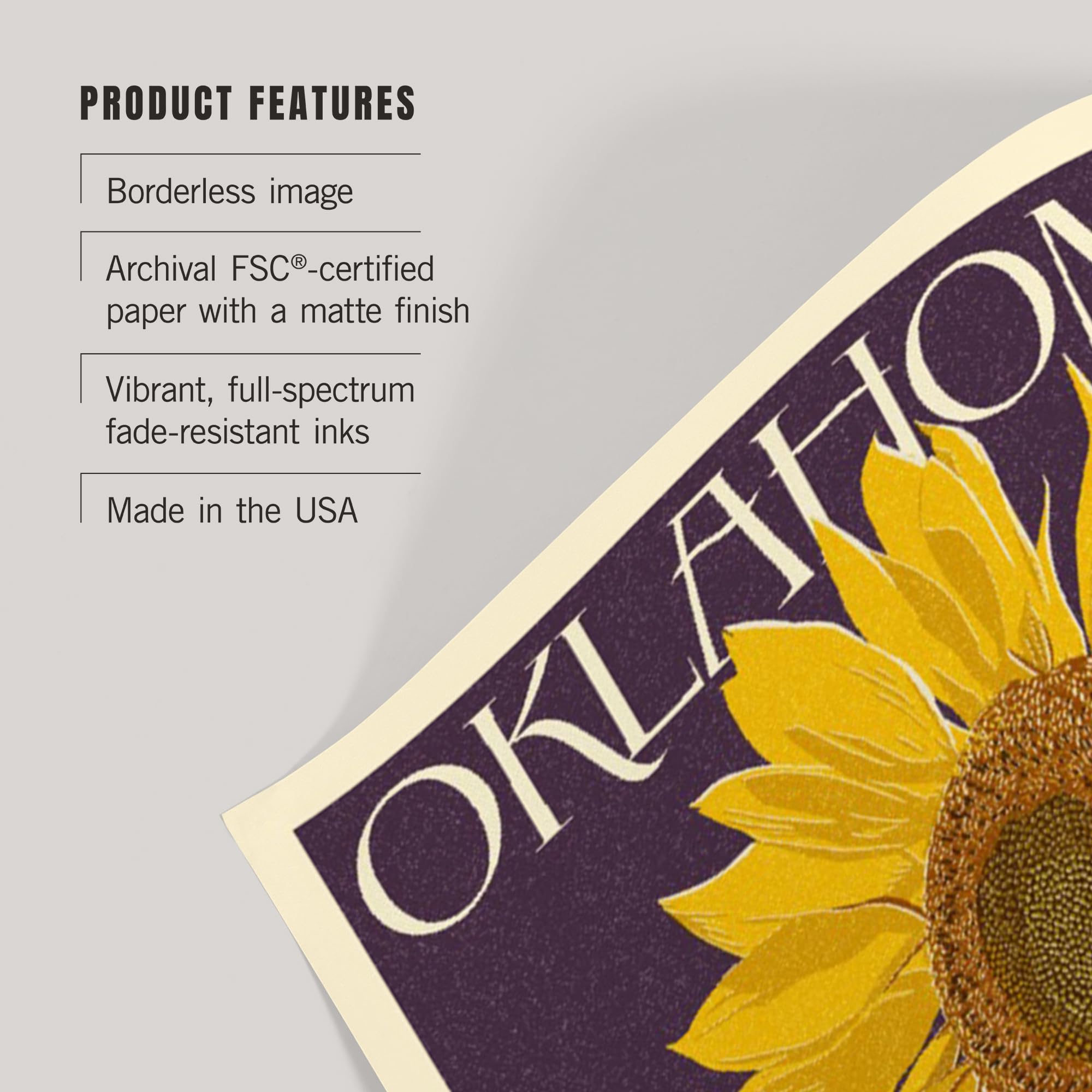 Lantern Press 16x24 Inch Giclee Art Print - Oklahoma Sunflowers Wall Decor, Letterpress Quality - Perfect for Living Room, Bedroom & Office Decor
