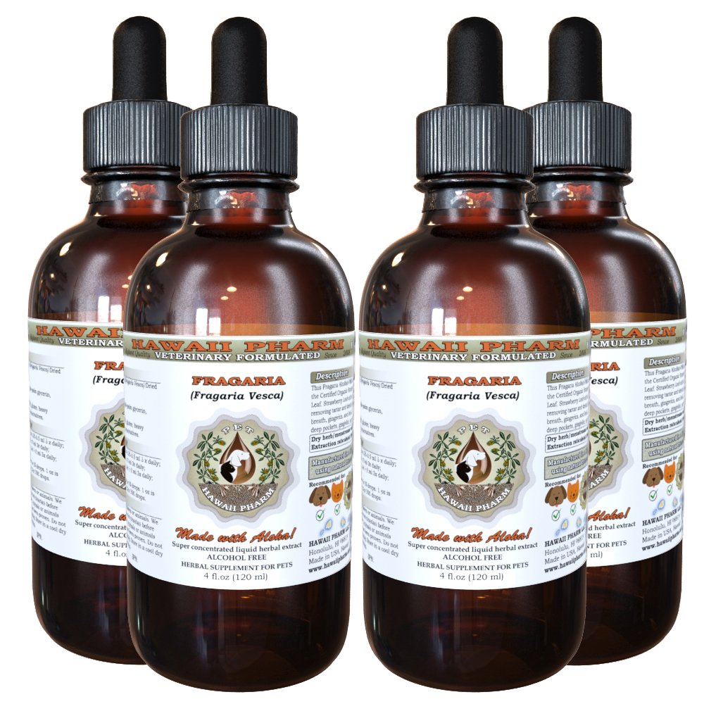 HawaiiPharm Alcohol-Free Strawberry Liquid Extract for Pets - Natural Herbal Supplement for Dogs & Cats - Supports Digestive Health & Wellness - Perfect for Picky Eaters & Sensitive Stomachs