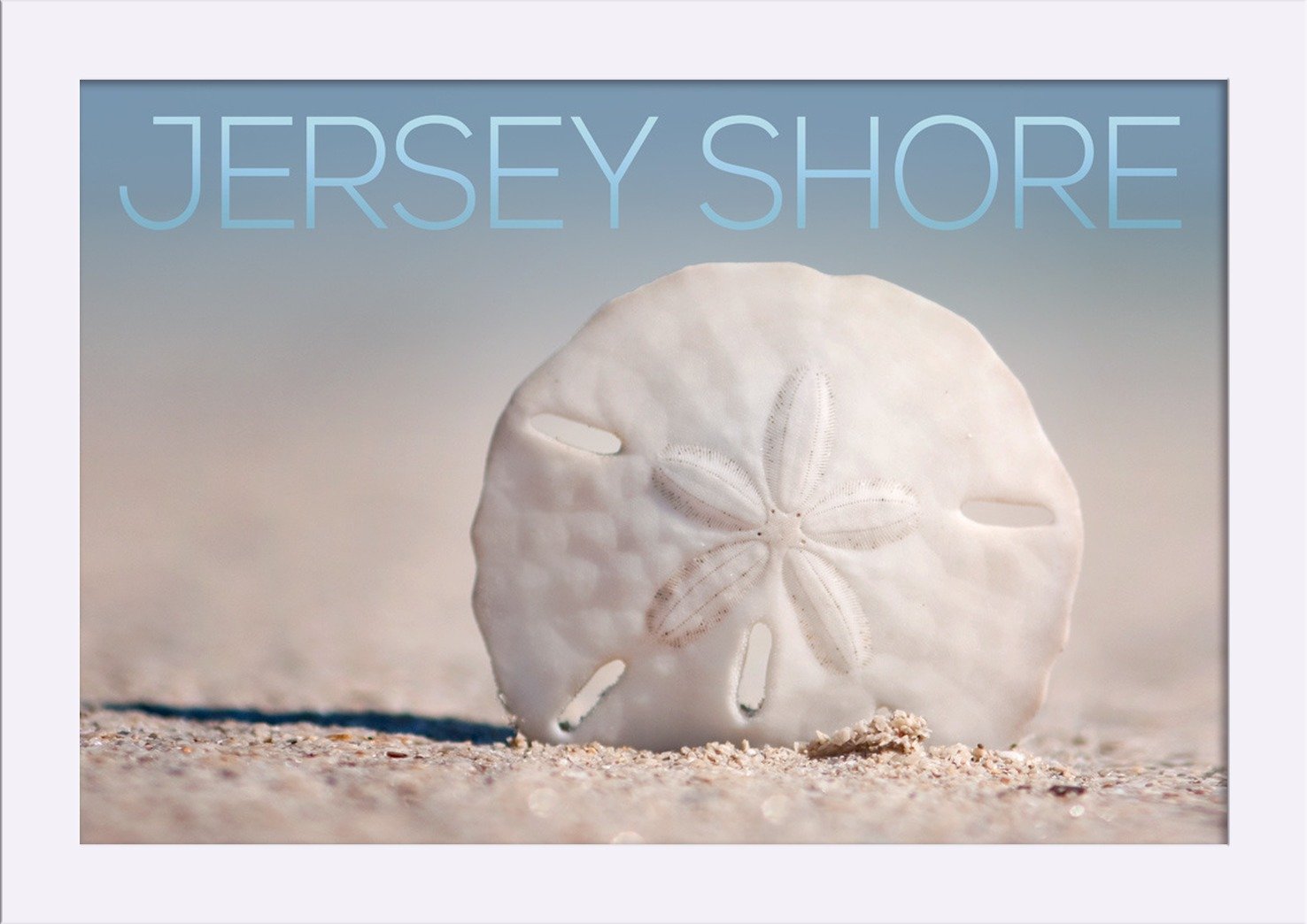 Jersey Shore Sand Dollar Beach Art Print - 12x18 Inch Giclee Fine Art on Recycled Wood Frame in White - Perfect for Coastal Home Decor & Beach House Wall Art