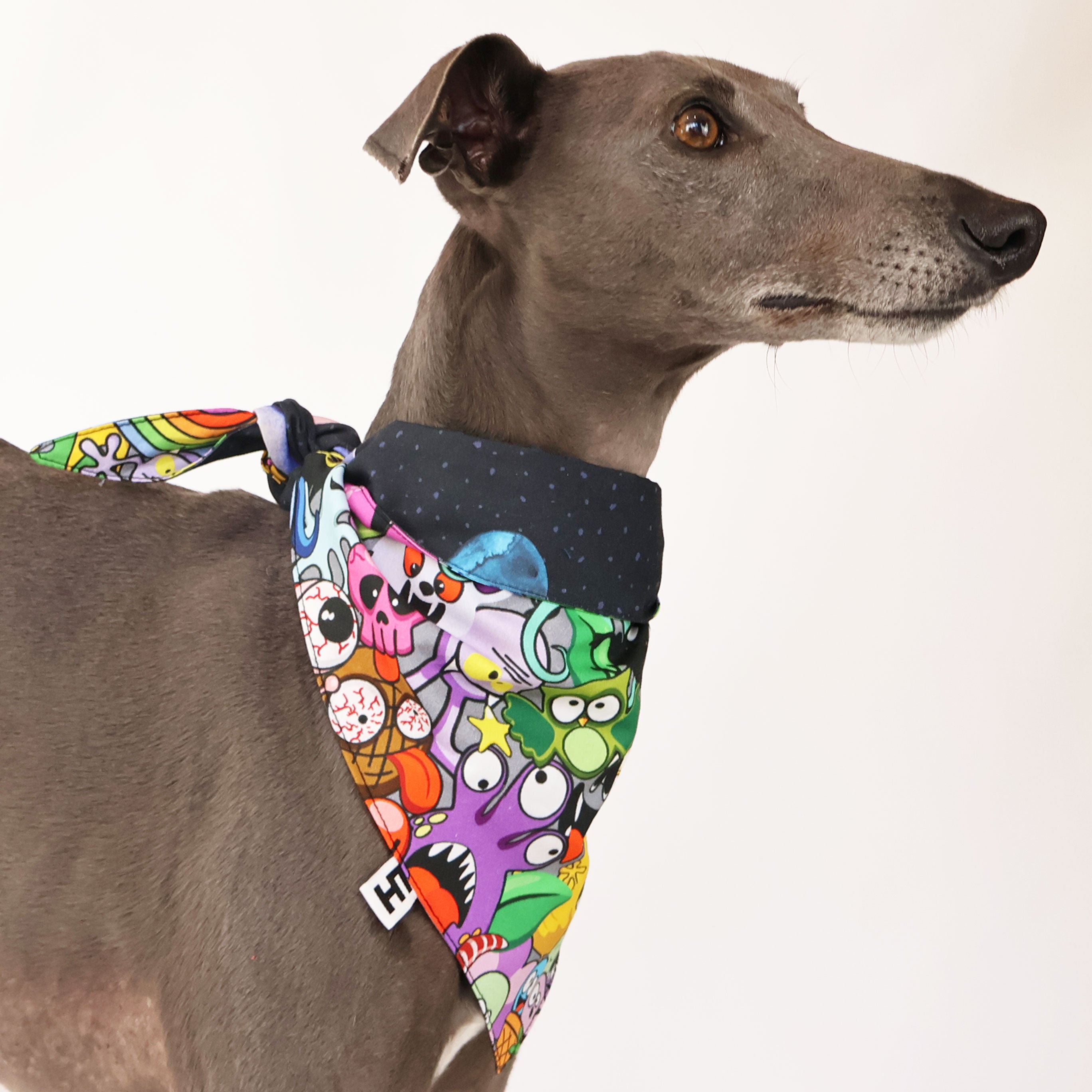 Lil Monster Bandana - Cute Pet Dog Bandanas for Small & Medium Dogs - Perfect for Halloween, Costume Parties & Daily Fashion Accessories