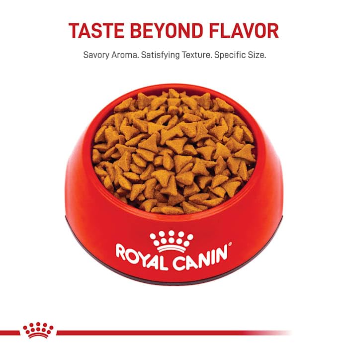 Royal Canin Feline Hairball Care Dry Cat Food - 3 lb Bag | Vet-Recommended Nutrition for Cats with Hairball Issues | Perfect for Indoor Cats & Long-Haired Breeds