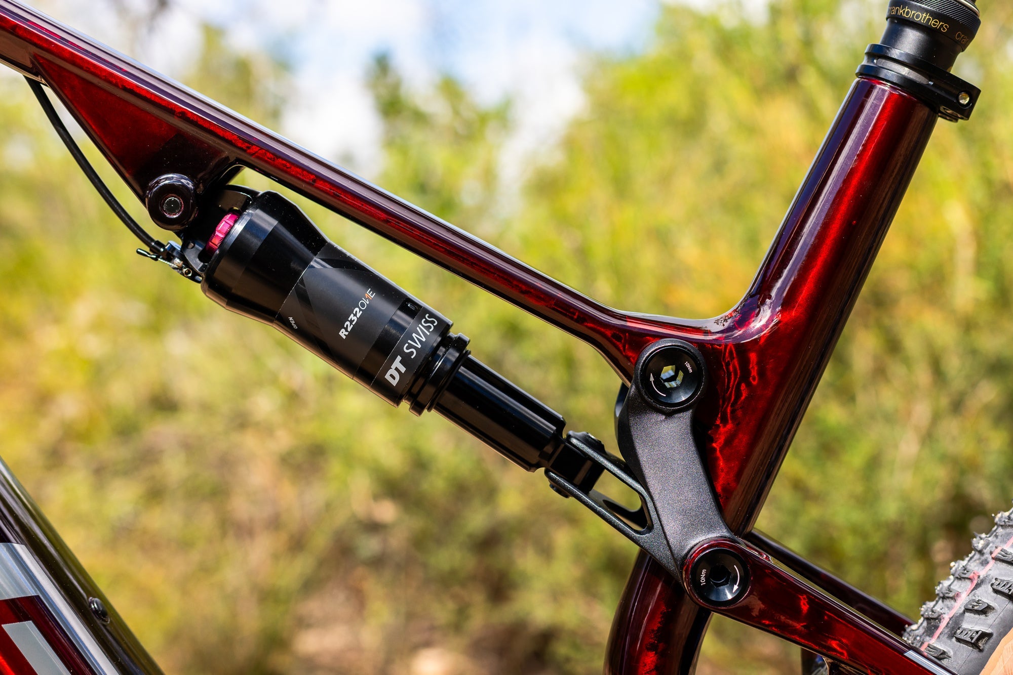 XF 29 Carbon XC Mountain Bike - Lightweight Full Carbon Frame, 29-Inch Wheels for Cross-Country Racing & Trail Riding | Perfect for Professional Cyclists & Mountain Adventures