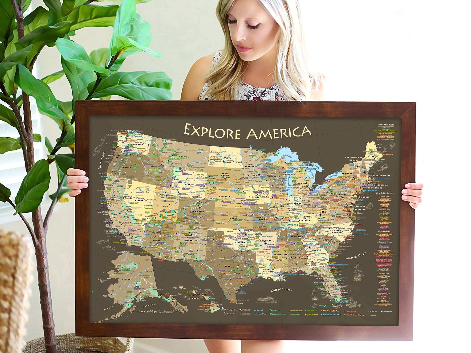USA Travel Map with Push Pins - Track Visits to 63 National Parks | Brown Framed, Rolled Poster or Stretched Canvas | Includes 500 Pins for Road Trips & Adventure Planning