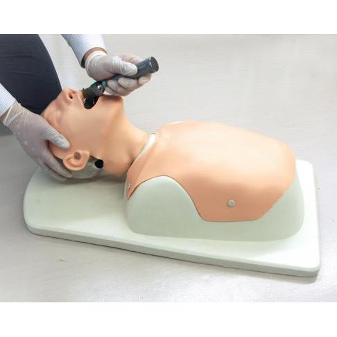 Difficult Airway Management Simulator - High-Fidelity Medical Training Model for Anesthesia & Emergency Practice - Perfect for Hospitals, Medical Schools & Residency Programs