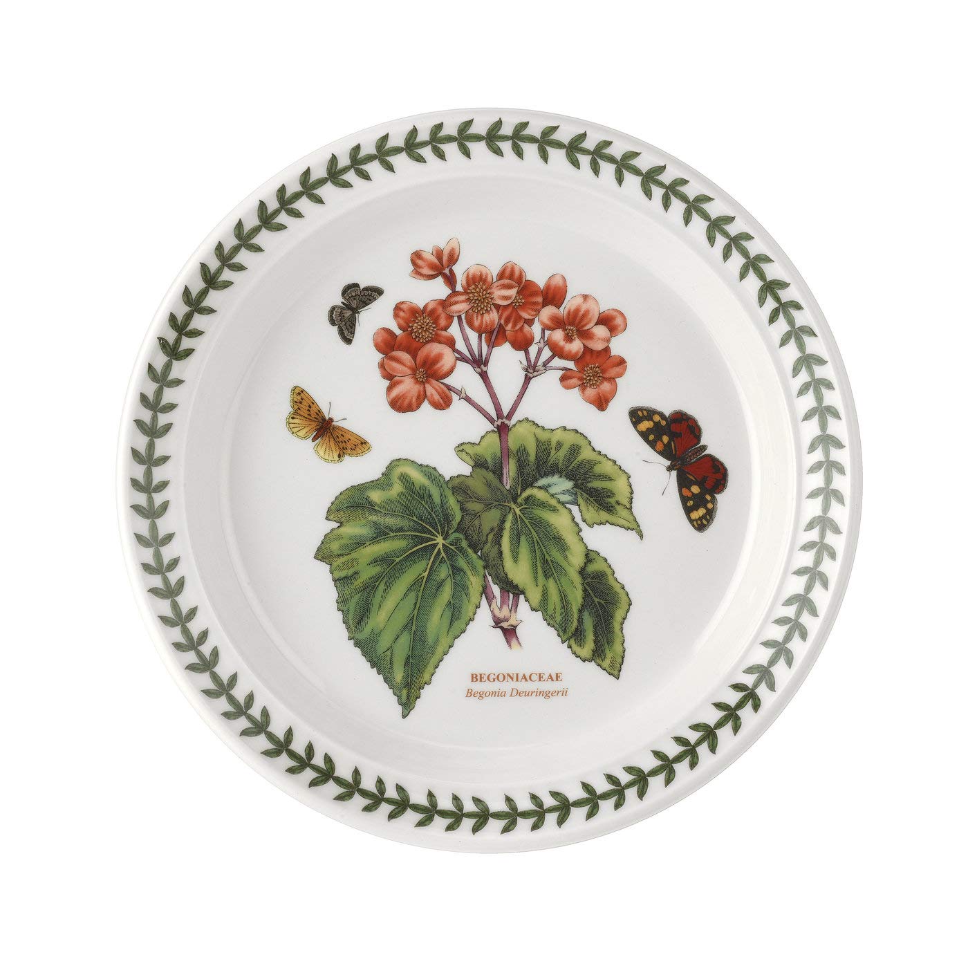 Portmeirion Home & Gifts BGCW05072 6-Piece Ceramic Salad Plates Set, 8-Inch/20cm Dinnerware - Perfect for Family Meals, Dinner Parties & Holiday Entertaining