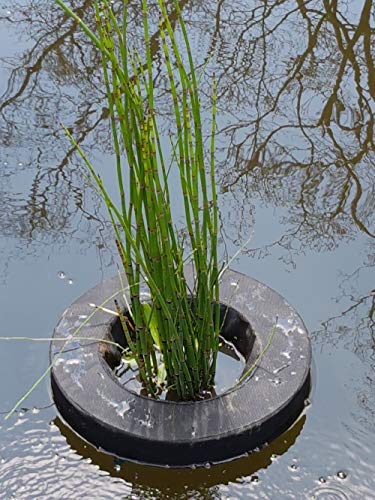 14-Inch Round & Square Floating Water Garden Planters with Substrate - 2 Pack Aquatic Pond Plant Baskets with Gravel for Hydroponics, Aquaponics - Perfect for Ponds, Water Gardens & Indoor Water Features