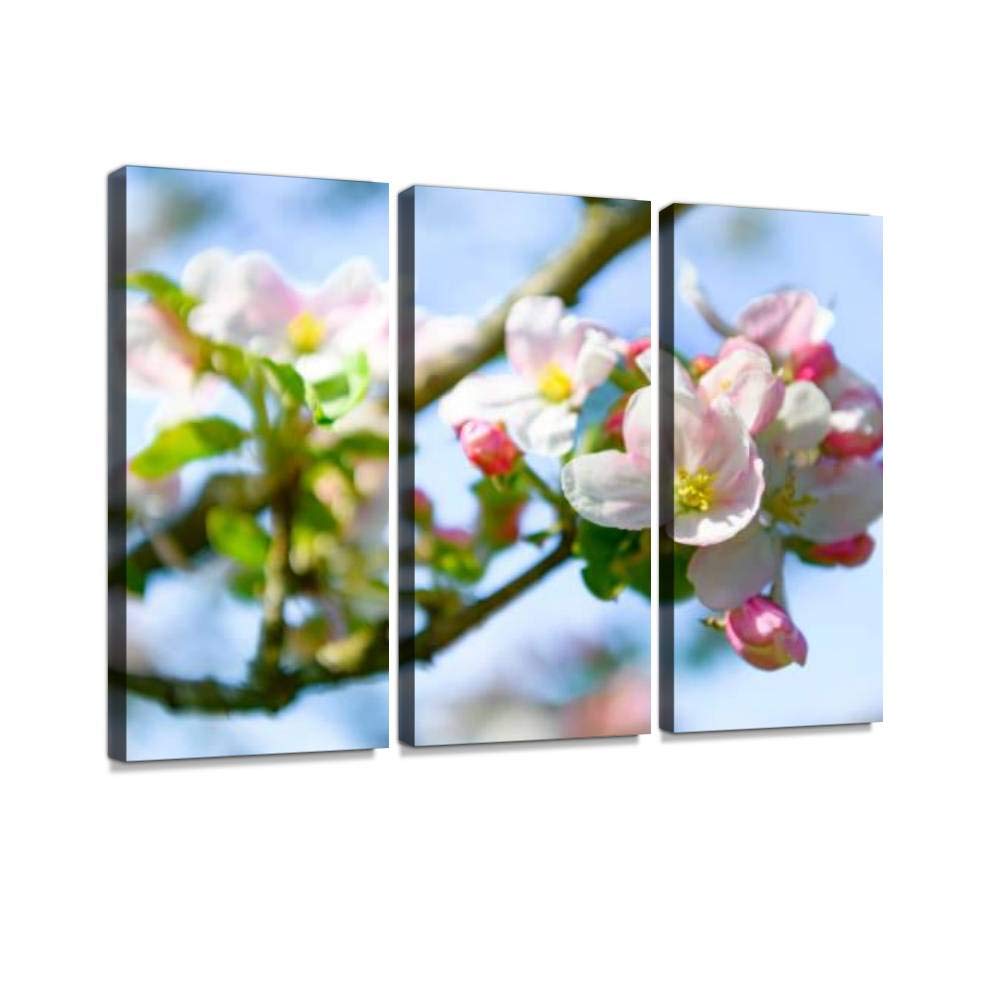 Blooming Apple Tree Blossom in Spring - Vintage Abstract Canvas Wall Art Print, 3 Panels Framed Ready to Hang, Home Decor for Living Room, Bedroom & Office