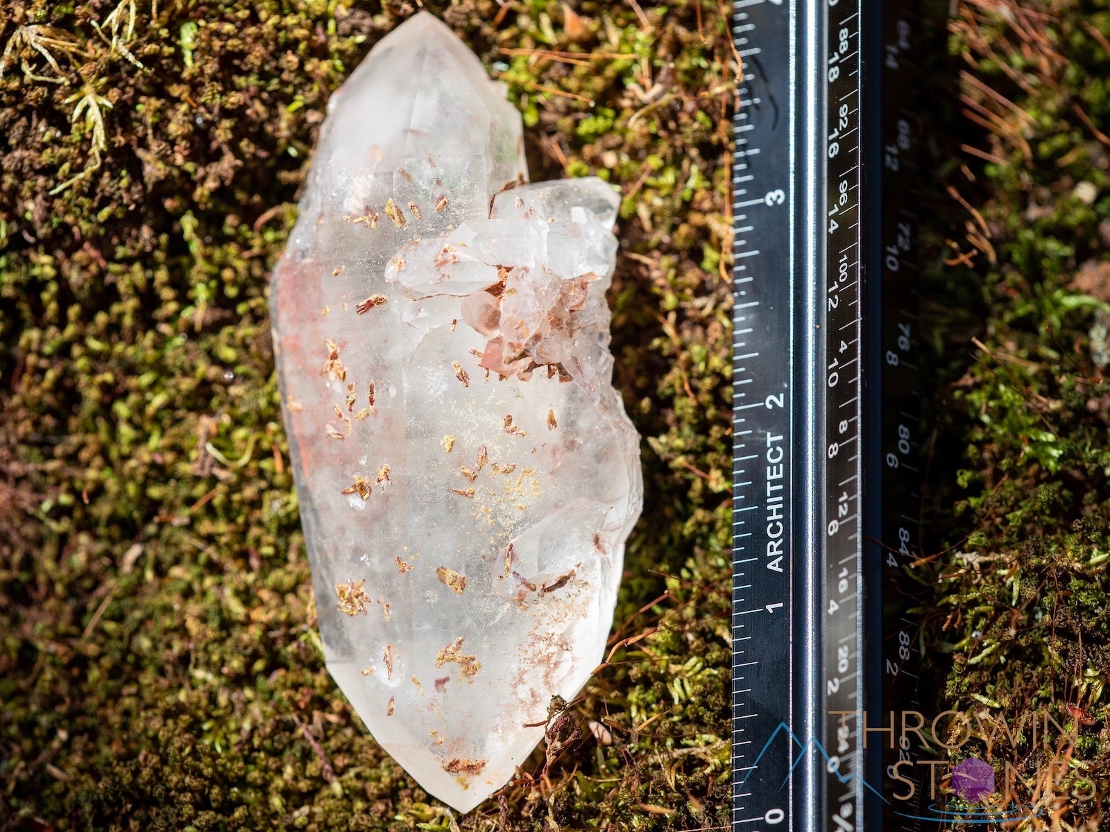 Natural Raw Quartz Crystal Point with Epidote Inclusions - Healing Stone for Home Decor, Housewarming Gift, Meditation & Energy Work (39906) | Perfect for Crystal Grids, Altars & Spiritual Spaces