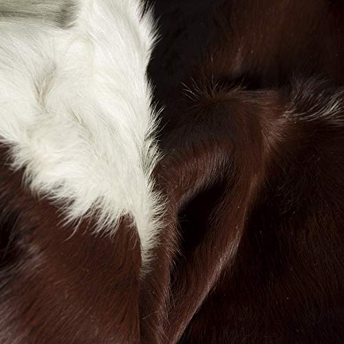 Hereford Brown White