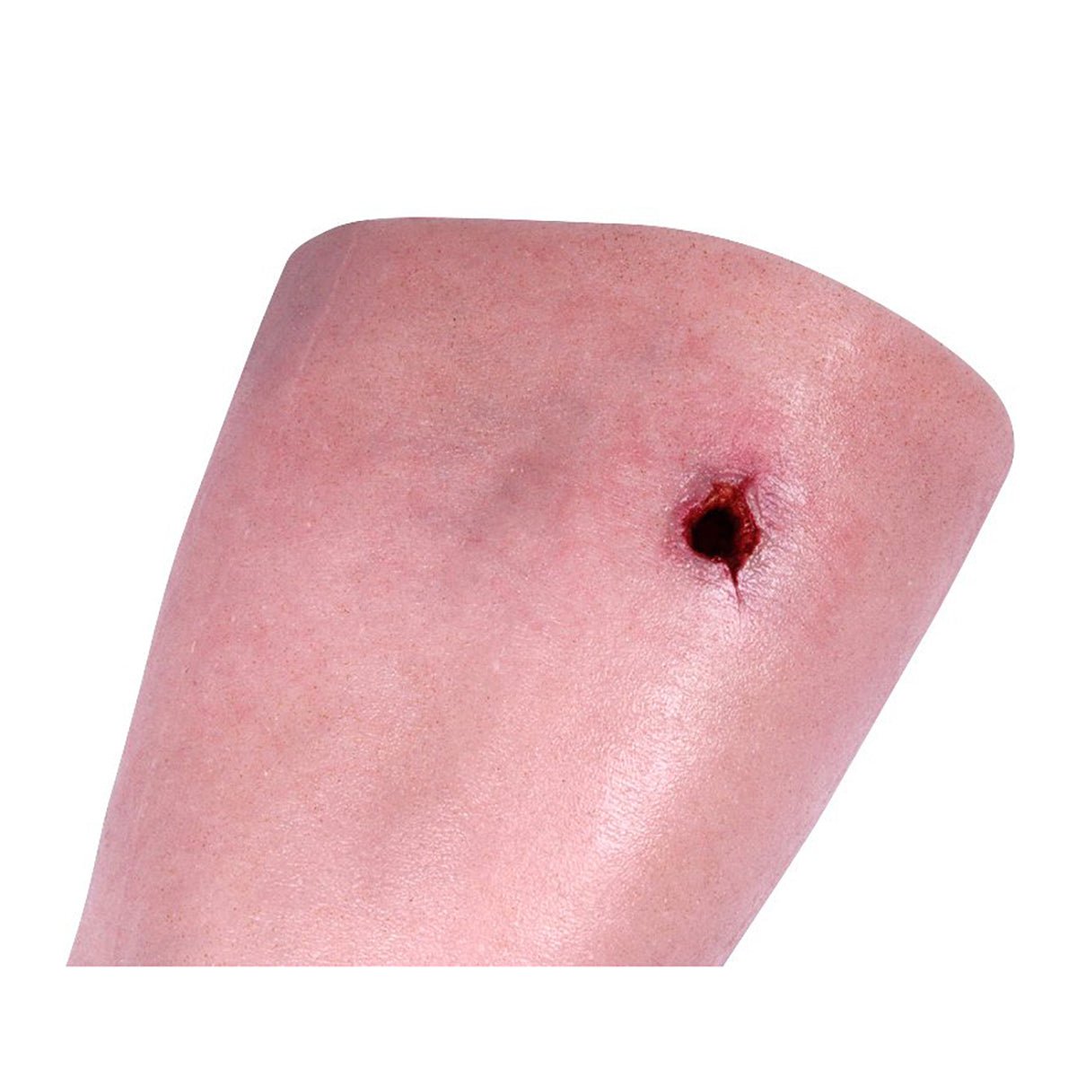 HM - Professional Wound Care Leg Trainer for Physical Therapy & Rehabilitation | Medical Training Equipment for Nurses & Healthcare Professionals | Ideal for Clinical Practice & Home Recovery Use