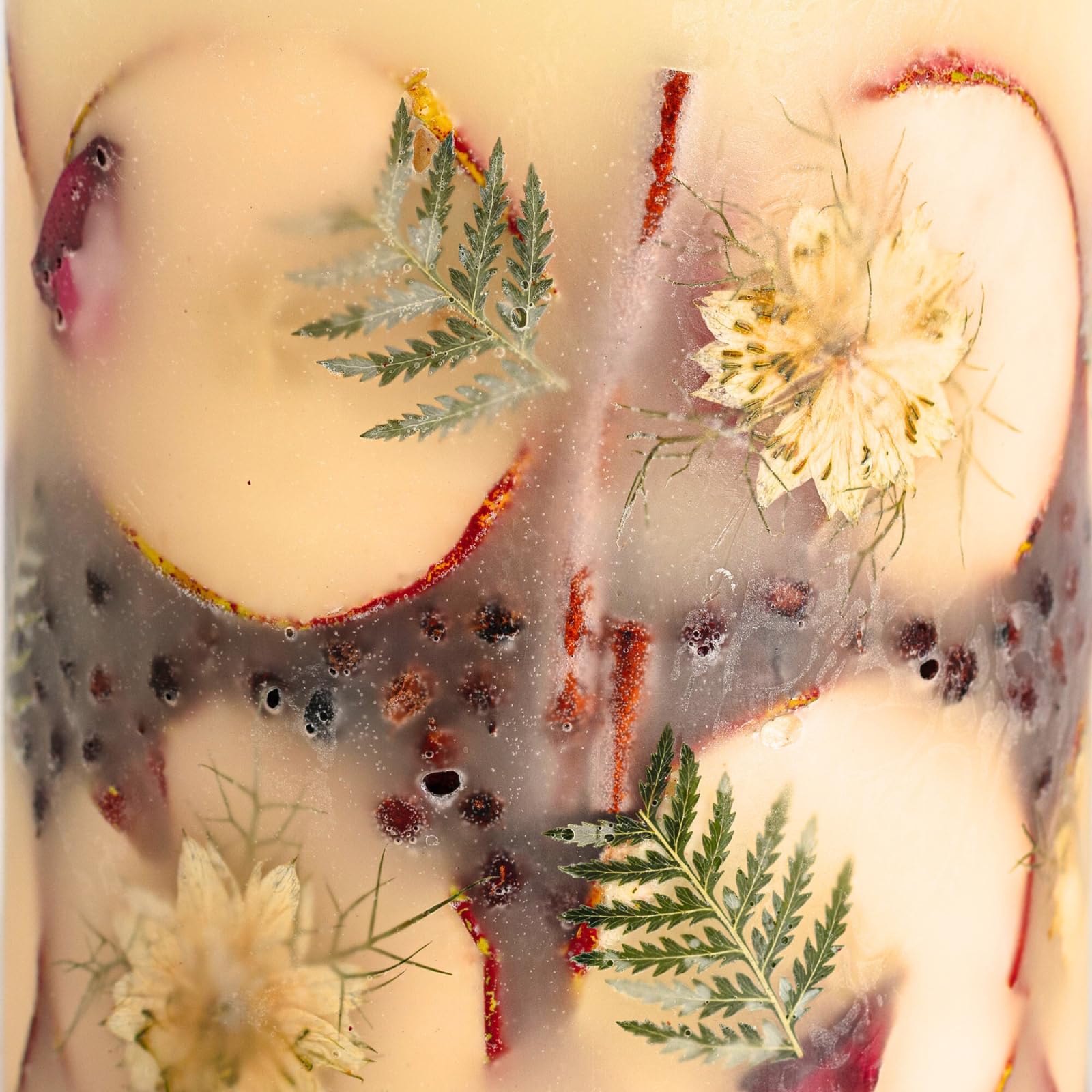 Rosy Rings Medium Round Botanical Candle - Spicy Apple Scent with Cardamom, Cinnamon & Clove | 6.5
