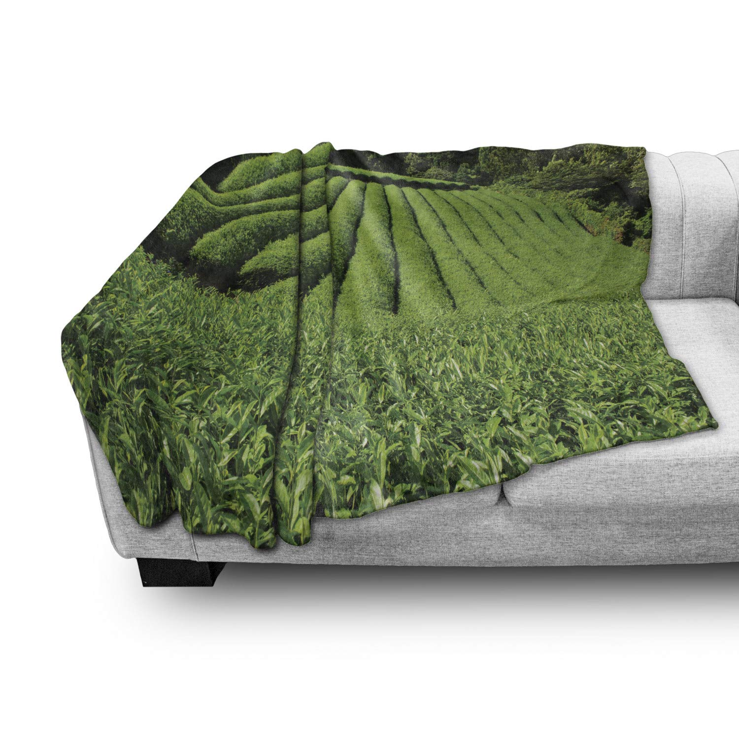 Ambesonne Nature Throw Blanket - 60