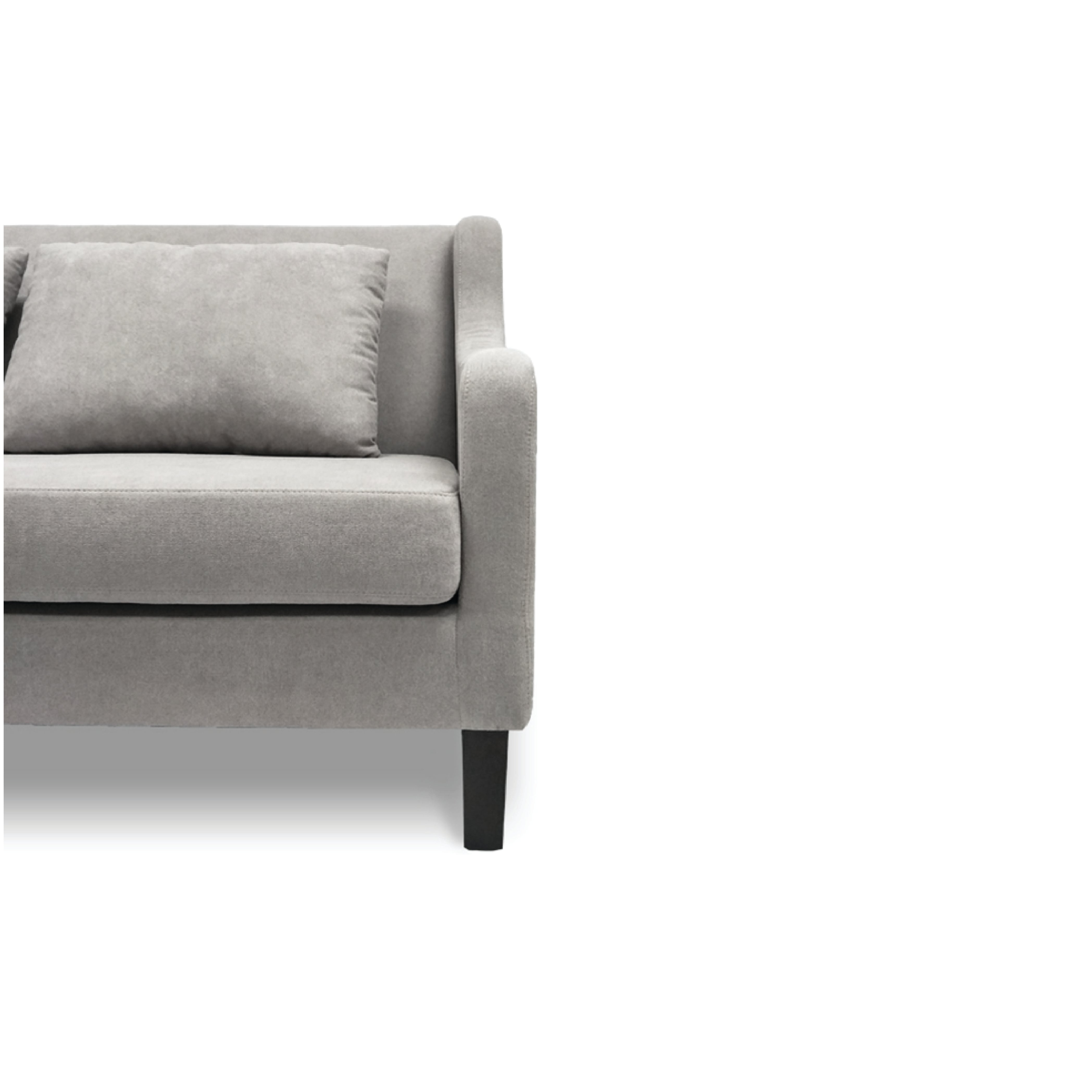 Orsani 2-Seater Sofa - Modern Loveseat for Small Spaces | Perfect for Living Room, Apartment & Office Waiting Area