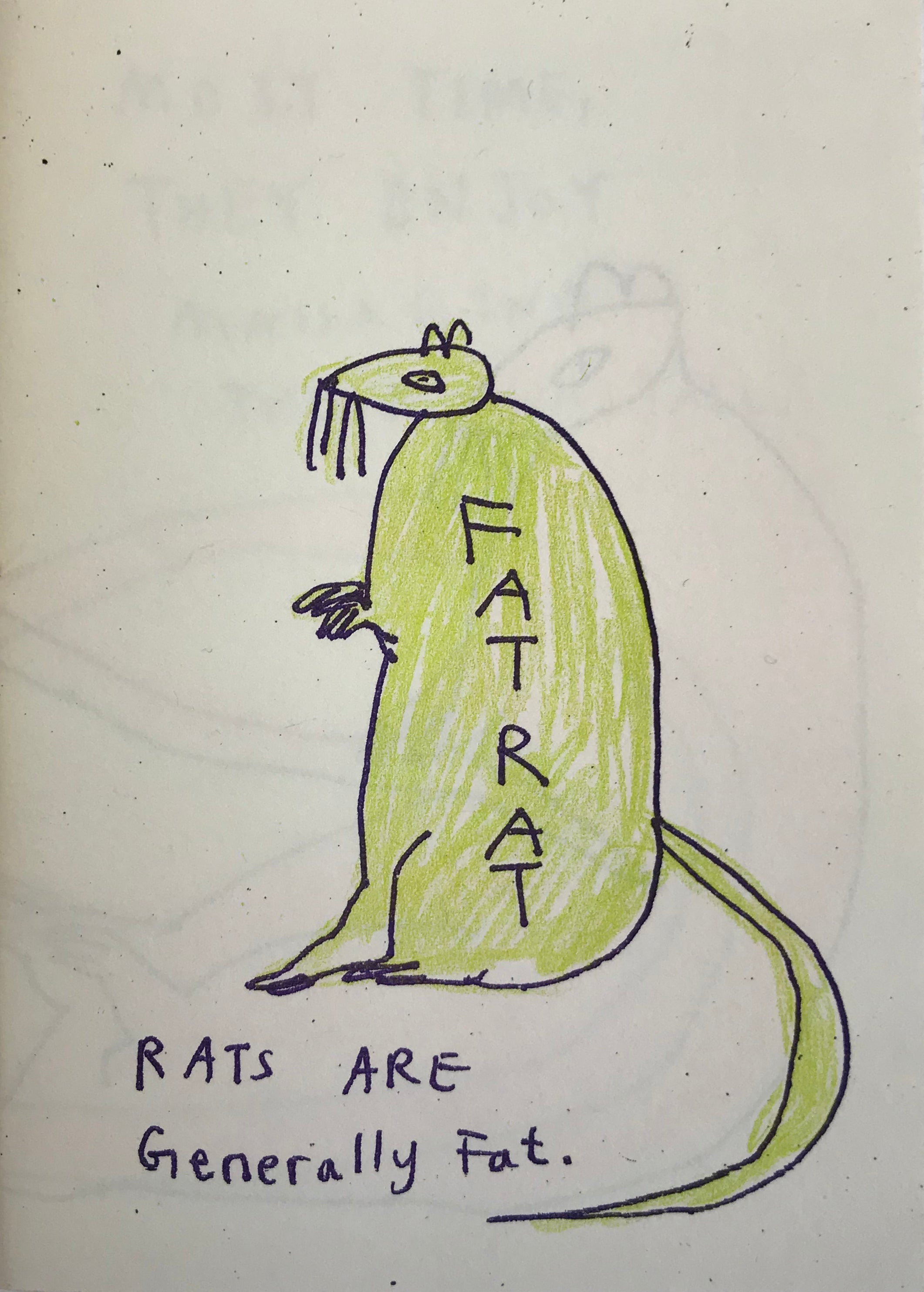 Fat Rat Zine by An Gee Chan - Underground Art Zine Collection for Indie Music & Punk Culture Lovers | Perfect for Zine Fairs, DIY Culture Enthusiasts & Alternative Art Collectors