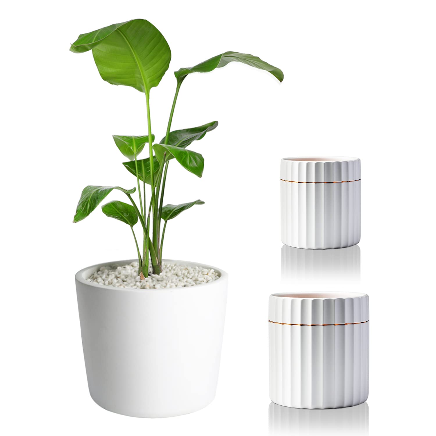 Modern Ceramic Plant Pots Indoor with Drainage Hole - Stylish Flower Planter for Home & Office Decor - Perfect for Succulents, Herbs & Small Plants