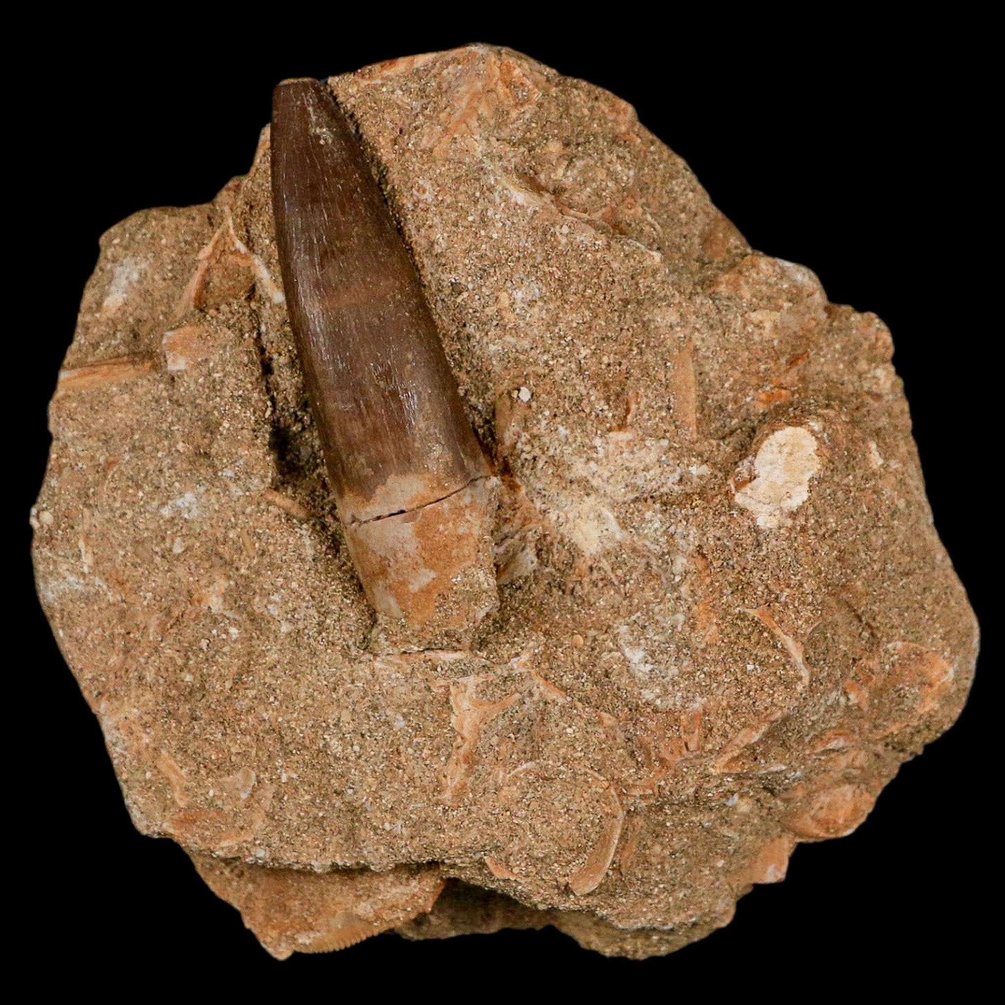 1.9