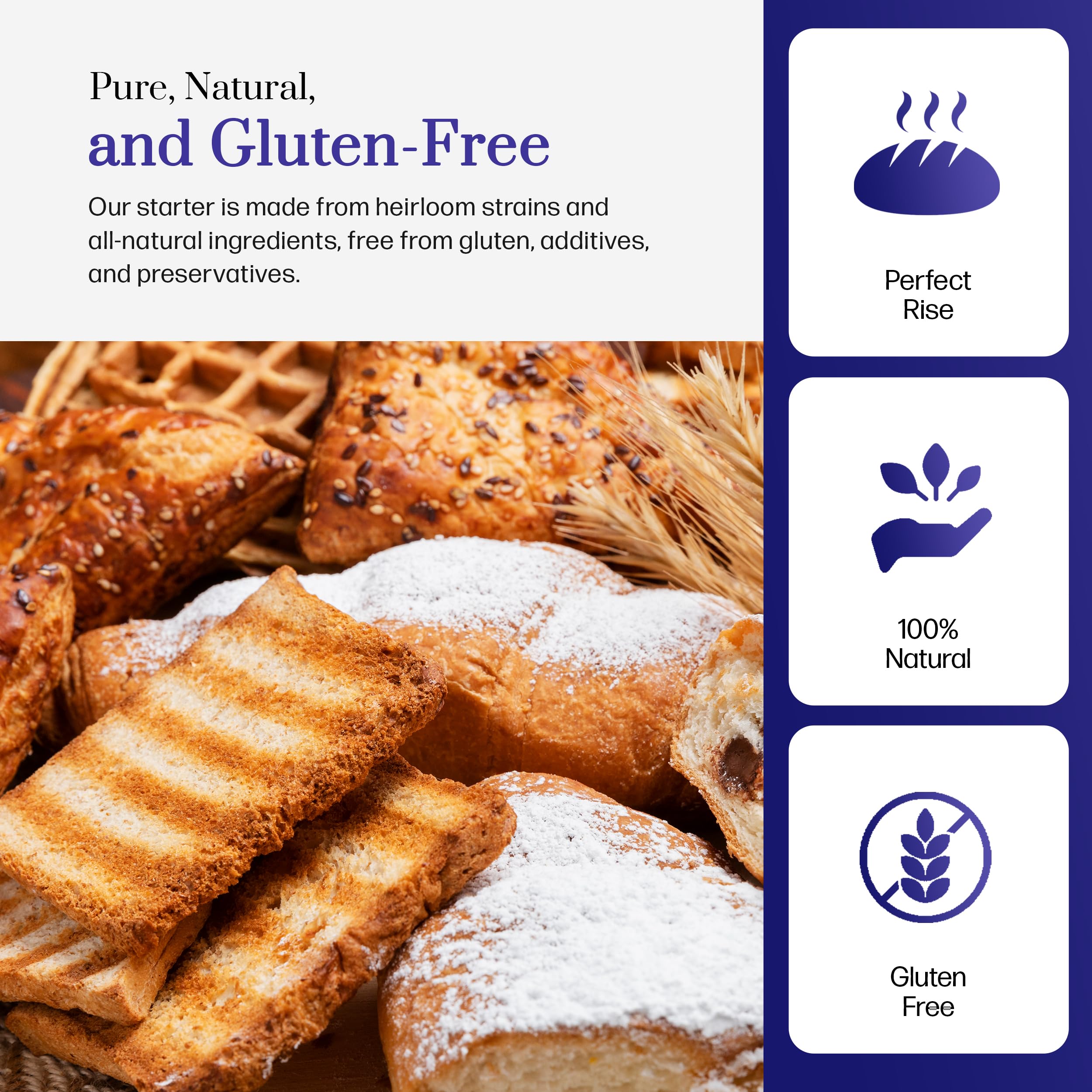 Organic Gluten Free Sourdough Starter Kit - Dehydrated Heirloom Style for Baking Bread, Pizza, Buns, Pancakes & Muffins | Easy to Use with Step-by-Step Instructions | Perfect for Home Bakers & Gluten-Free Diets