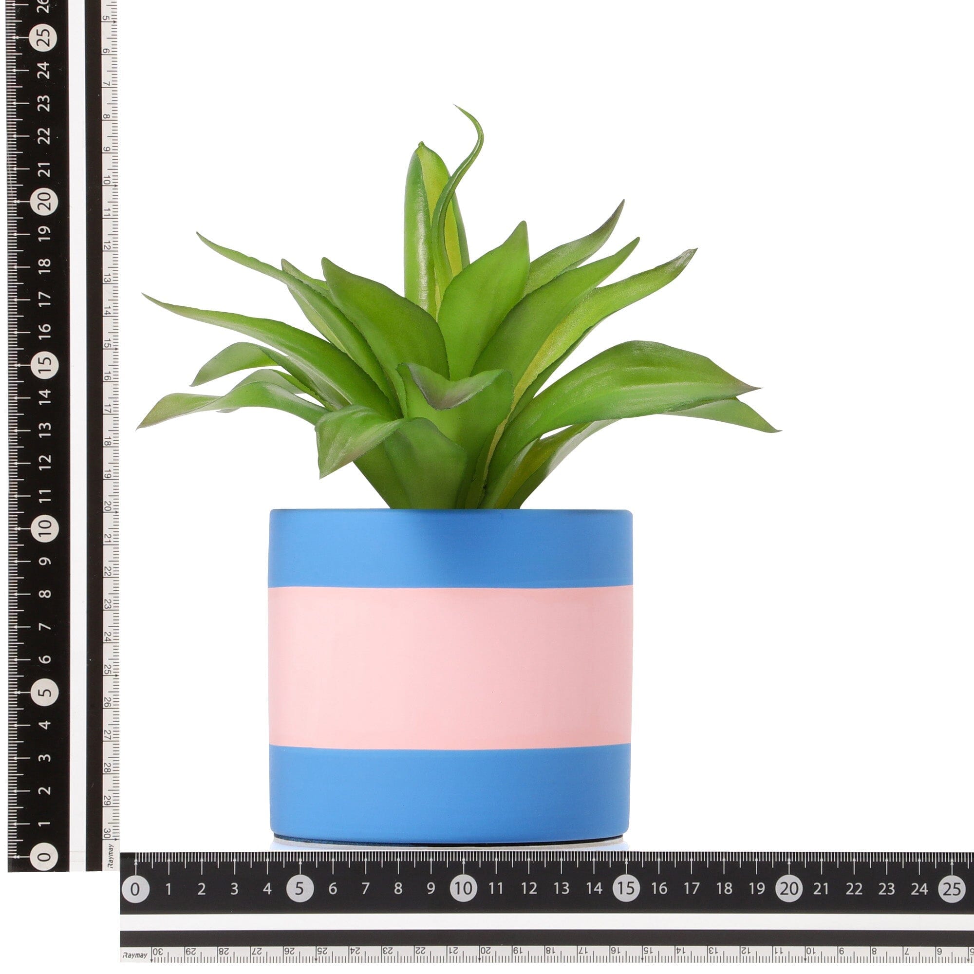 Art Green & Pot Agave - Premium Succulent Plant for Home Decor, Office Desk, and Garden Landscaping