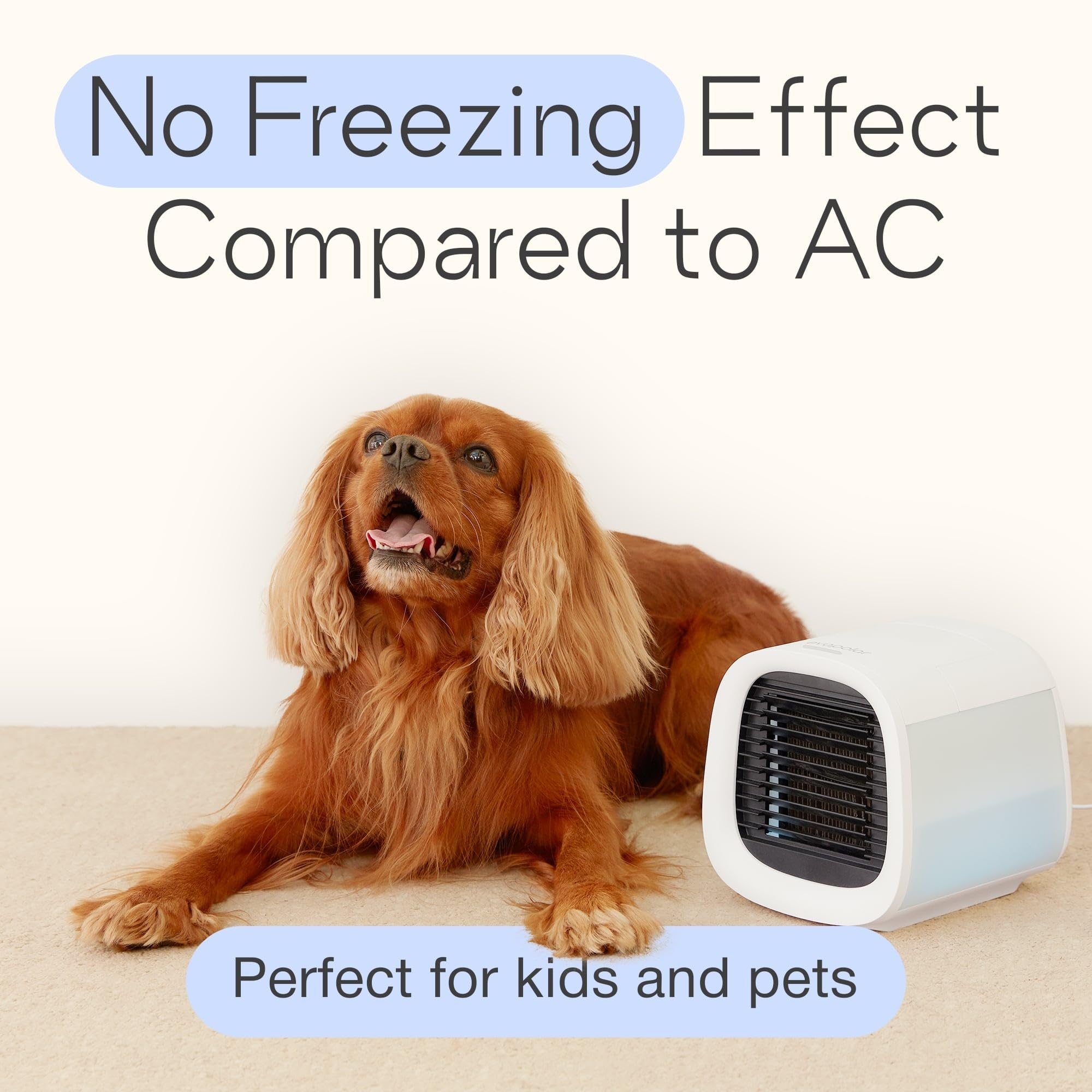 Evapolar evaCHILL Portable Air Conditioner - Compact Personal Cooling Fan & Evaporative Cooler for Desk, Office, Car, Camping - White | Perfect for Home, Travel & Outdoor Adventures