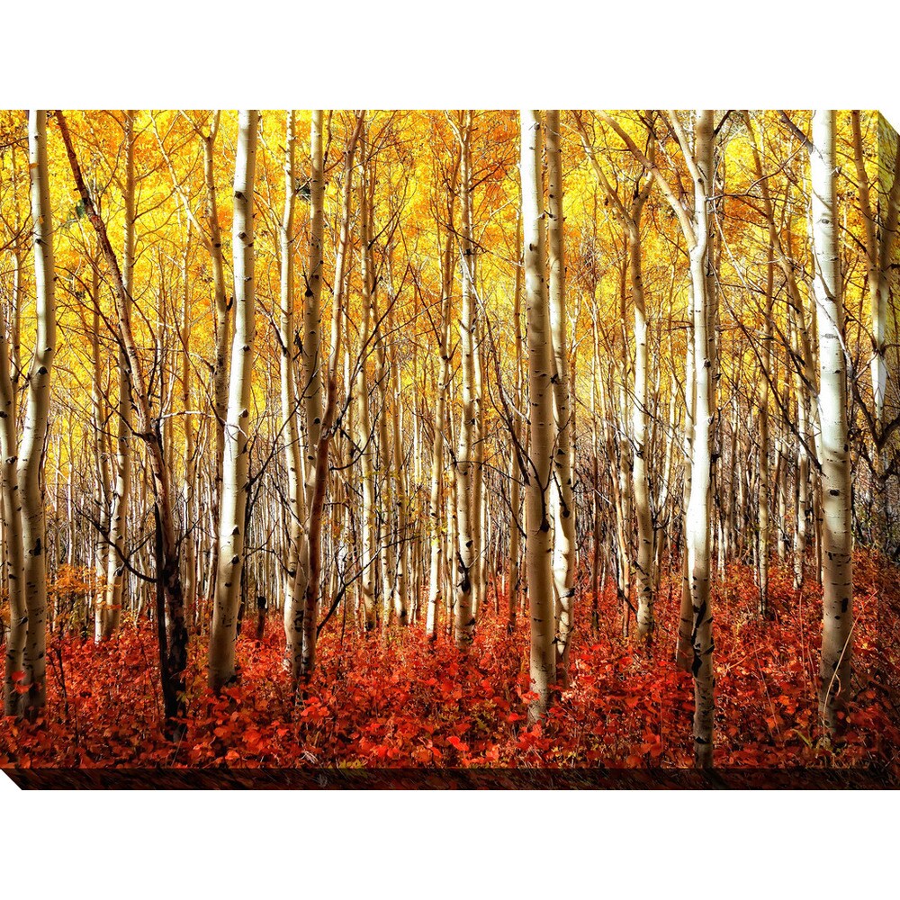 Birch Trees Giclee Print Canvas Wall Art - Handmade Nature Landscape Painting for Living Room, Bedroom & Office Decor