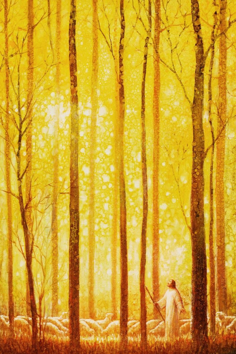 Premium Wonder Gallery Wrap Canvas - High-Quality Stretched Canvas for Wall Art, Home Decor & Office Display