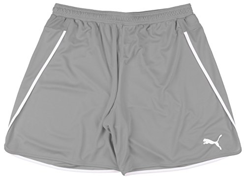 Steel Gray