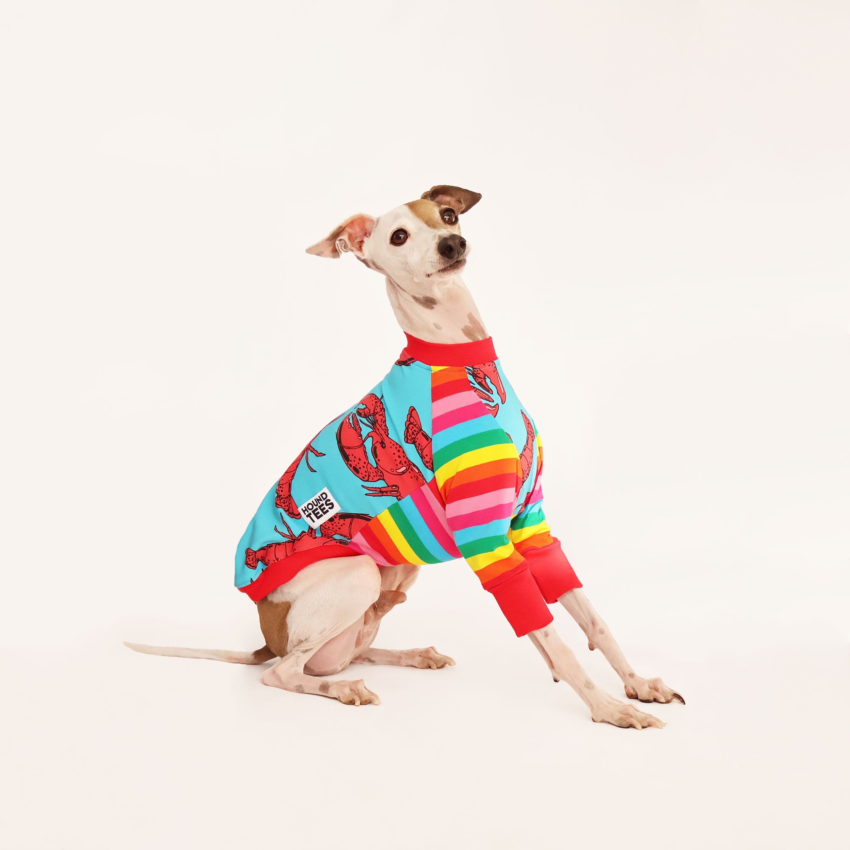 Rock Lobster Italian Greyhound Long Sleeve T-Shirt - Comfortable Dog Lover Apparel for Casual Wear & Outdoor Activities
