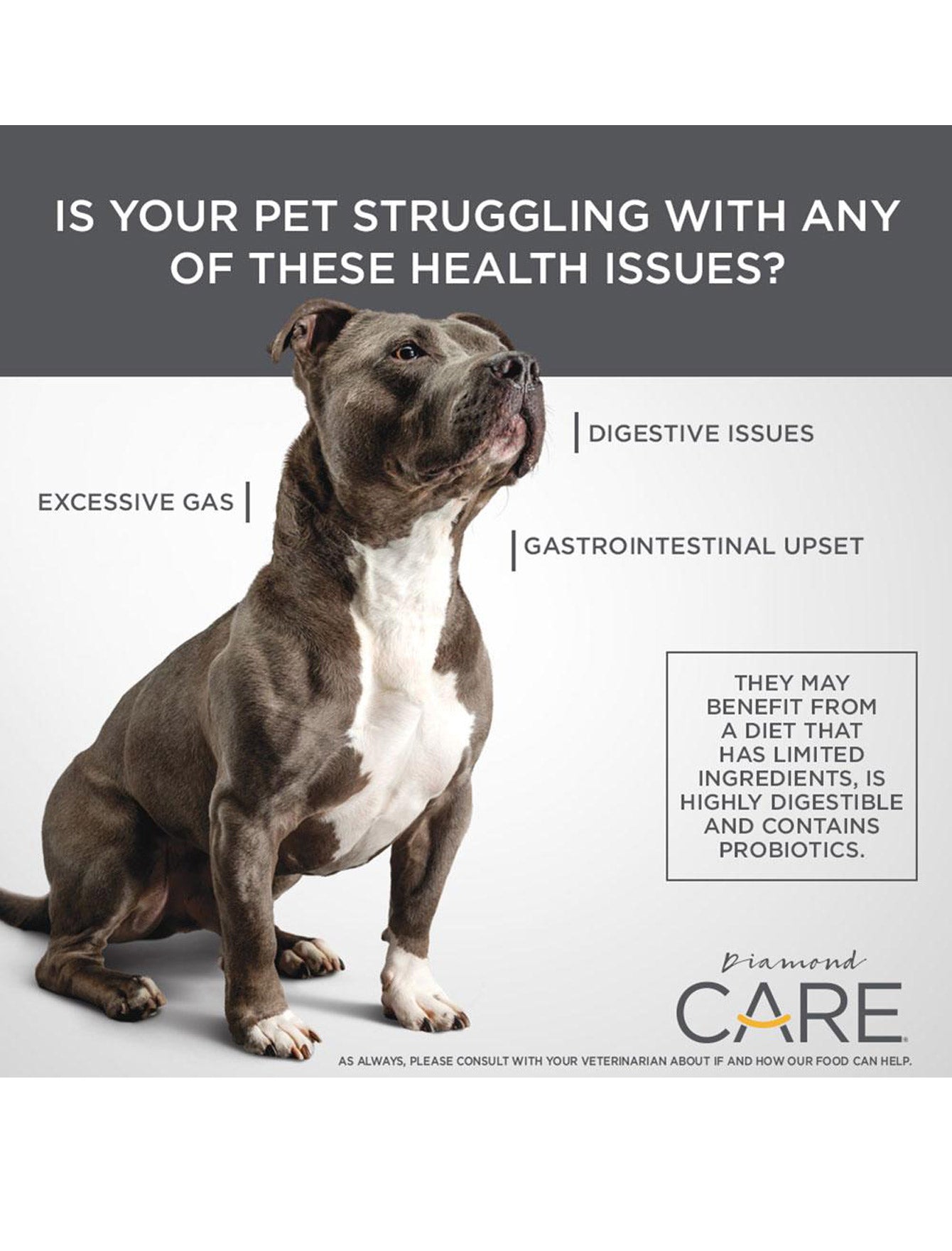 Premium Diamond Care Sensitive Stomach Formula - Grain-Free Dry Dog Food for Adult Dogs with Digestive Issues (5lb & 15lb Bags) | Ideal for Dogs with Food Allergies & Easy Digestion at Home or Travel