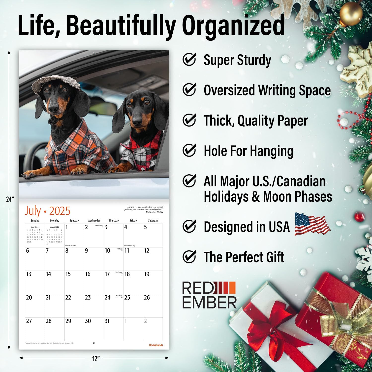 RED EMBER Dachshunds 2025 Wall Calendar - 12 Month Large 12x24 Inch with Thick Sturdy Paper - Perfect Gift for Dog Lovers - Home, Office & Classroom Decor