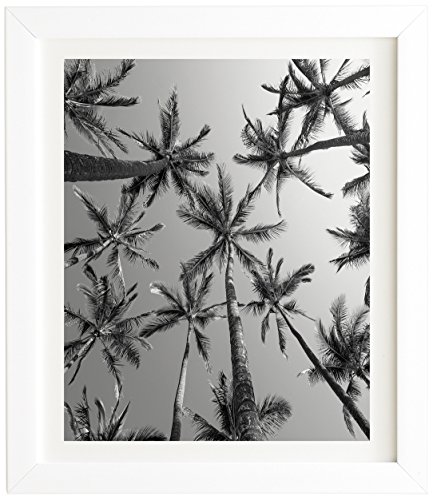 Bw Palms